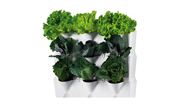 Set Minigarden Vertical White