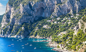 Musement - Un ingresso al circuito Cruises e Boat tours
