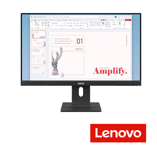 LENOVO Monitor