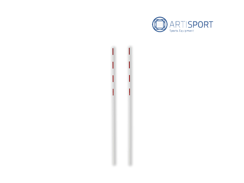 Coppia antenne pallavolo 