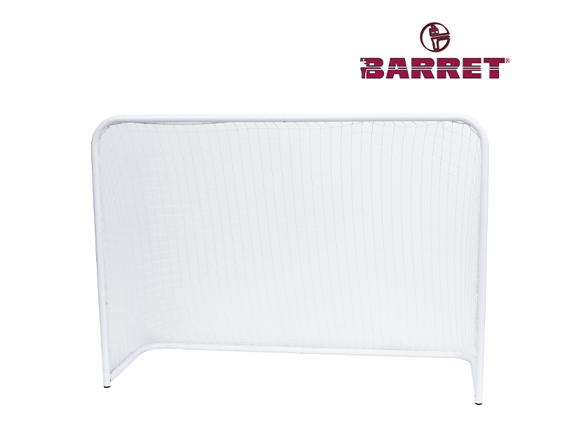 Coppia porte unihockey 