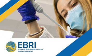 Donazione a Ebri in supporto ai ricercatori Ucraini 10 euro