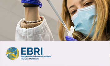 Donazione a Ebri in supporto alla ricerca sulle malattie neurodegenerative 10 euro