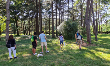Freedome - Escape room all’aperto in un bosco vicino a Milano